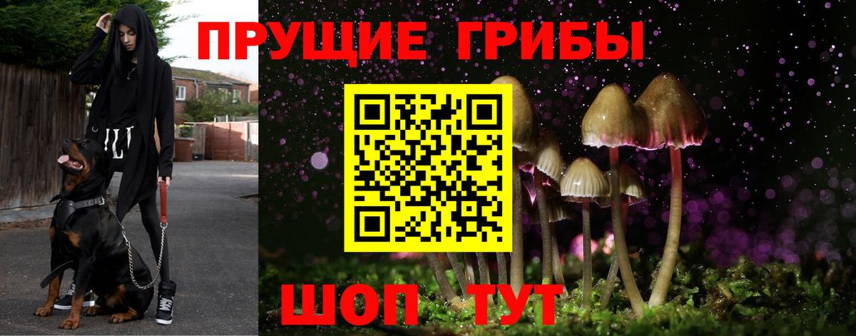 Галлюциногенные грибы мицелий Белорецк